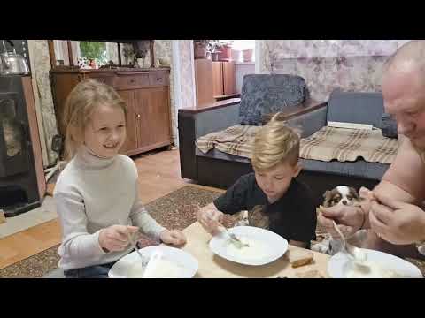 Видео: Манная каша, каклетки, и ешо чё то...