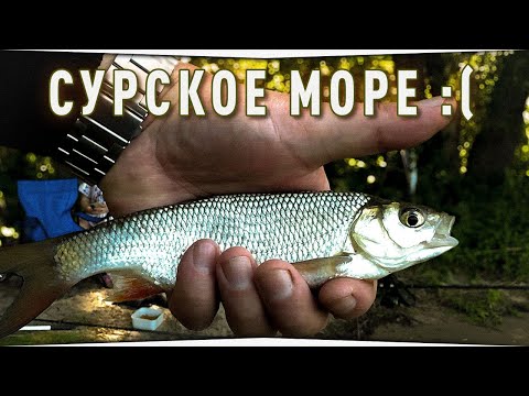 Видео: Отдых и рыбалка на Сурском водохранилище • Ночевка на природе