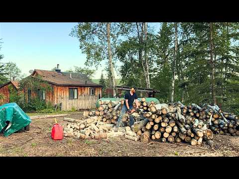 Видео: Заготовка дров | Подготовка к зиме в нашем автономном домике