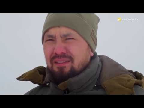 Видео: Аңшы болғыңыз келсе...