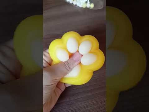 Видео: Как вам? #лапка #таба #сквиш