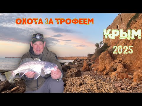 Видео: В поисках трофейного горбыля:секреты успешной рыбалки!