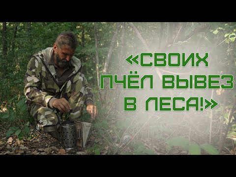 Видео: "100 укусов пчёл хорошо терпел!" // Пчеловод с Полесья ПОКАЗАЛ САМЫЙ ВКУСНЫЙ МЁД!