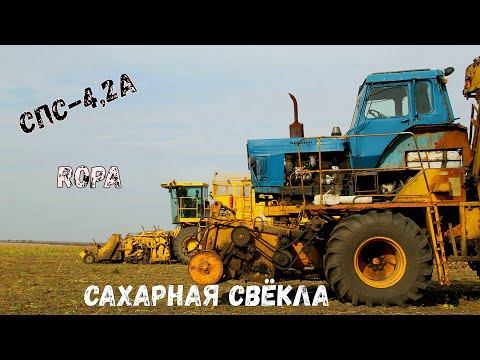 Видео: Один день на уборке сахарной свеклы. Еще советские погрузчики СПС-4,2 и немецкий комбайн Ropa