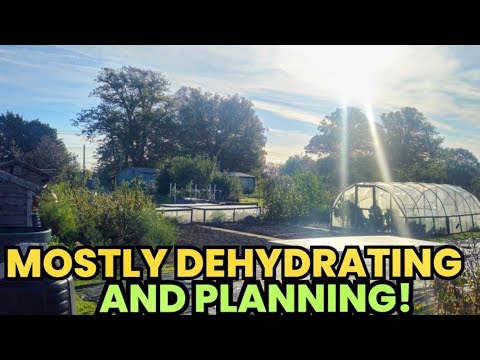 Видео: Побег на огород 🌱 Сушка урожая и запуск гидропоники!