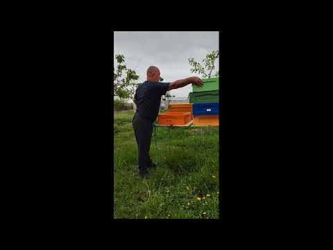 Видео: ВЗАИМОЗАМЕНЯЕМОСТЬ ЭЛЕМЕНТОВ УЛЬЕВ
