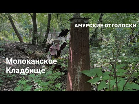 Видео: Молоканское кладбище в Благовещенске.