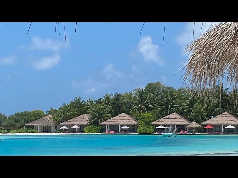 Видео: CINNAMON DHONVELI MALDIVES.Наш первый резорт и первый апгрейд!Обзор острова#мальдивы #2025#cinnamon 
