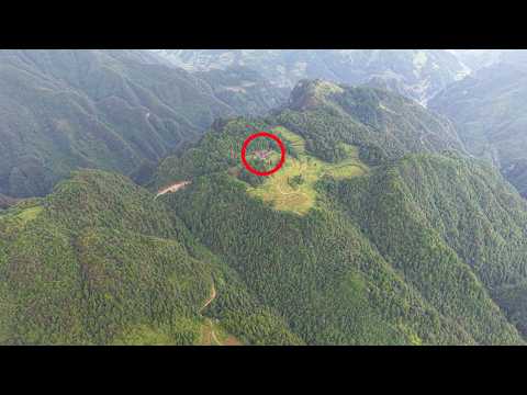 Видео: Дядя из Гуйчжоу живет уединенно на вершине холма, в окружении диких зверей.