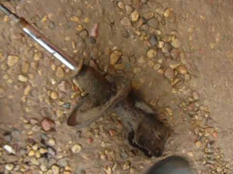 Видео: Замена стоек MONROE 16689 и 16688. MITSUBISHI SPACE STAR, CARISMA. Виды подвесок и как разобраться.