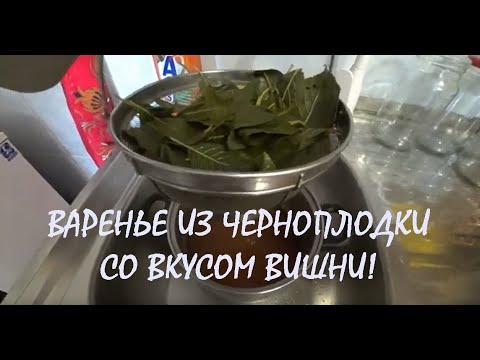 Видео: ВАРЕНЬЕ ИЗ ЧЕРНОПЛОДНОЙ РЯБИНЫ со вкусом вишни_25.08.2023
