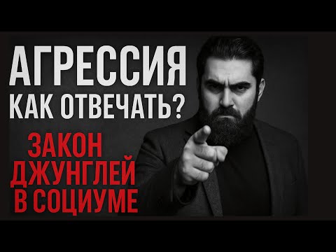 Видео: Как общаться с агрессивными людьми? "Закон джунглей" - в социуме
