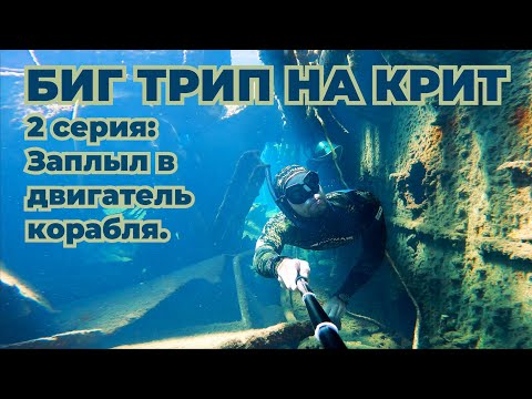 Видео: От Смертельно ядовитой рыбы до погружения в Двигатель Корабля. Крит.
