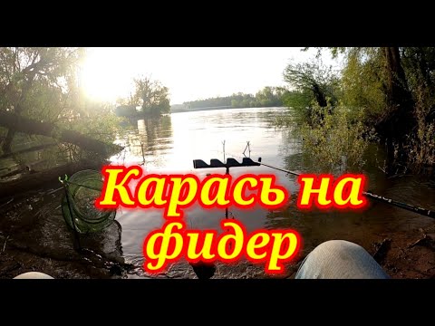 Видео: Карась на фидер. Кубань, Фёдоровская.