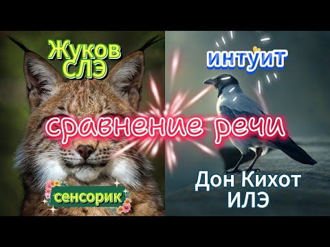 Видео: Сравнение речи СЛЭ/Жукова и ИЛЭ/Дон Кихота. Соционика