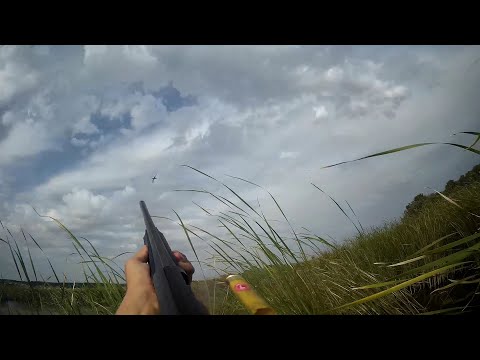 Видео: Охота На Утку!! ОТКРЫТИЕ ОХОТЫ 2021-2022!