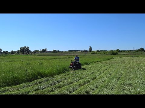 Видео: самая дешевая косилка к мотоблоку в работе на сене.