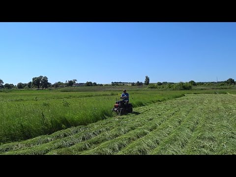 Видео: самая дешевая косилка к мотоблоку в работе на сене.