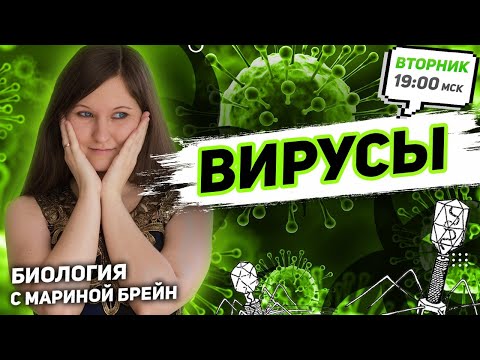 Видео: ВИРУСЫ | ЕГЭ