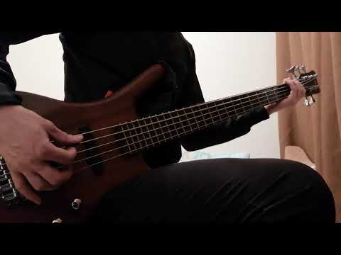Видео: Мураками - Догвилль (бас кавер)