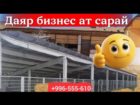 Видео: Ат сарай сатылат даяр бизнес