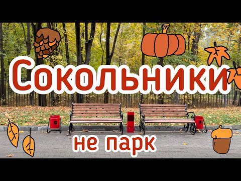 Видео: Сокольники, не парк 🍁🍂
