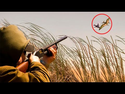 Видео: Этот выстрел изменил его жизнь навсегда, после такого за ружьё он больше не брался