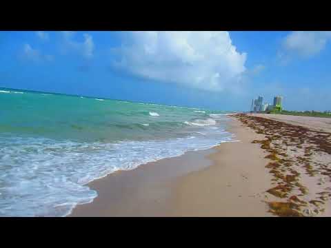 Видео: Жизнь в Маями Life in Miami На пенсии. Walk and Talk Miami Beach Florida #маями #miami #beach