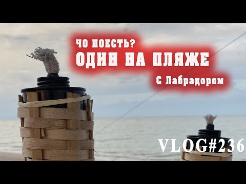 Видео: Дикарем с Лабрадором на море. Дом на колесах Скиф в заповеднике.