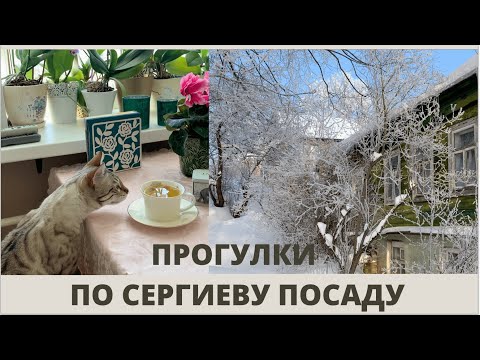 Видео: Прогулка по Сергиеву Посаду: библиотека, дом В. В. Розанова. Книжный влог. Настольная игра.