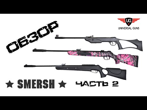 Видео: Обзор пневматических винтовок Smersh (часть 2)