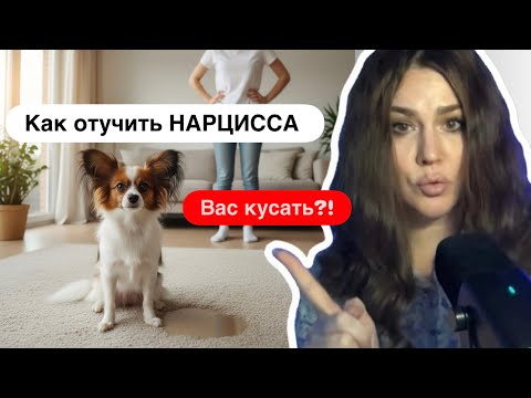 Видео: Отучи НАРЦИССА обвинять, истерить, орать, абьюзить