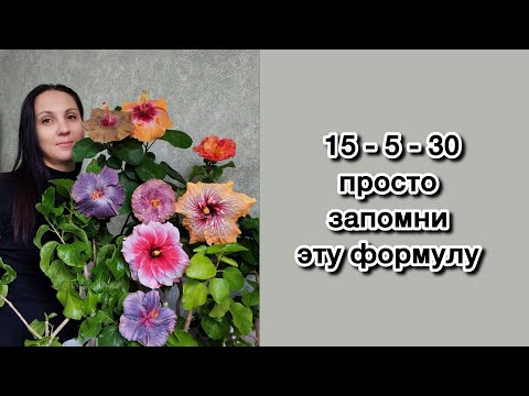 Видео: Удобрения для гибискусов.