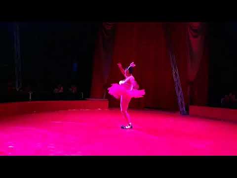 Видео: Цирк ''Арена'' в Бургас 2020 🤡 Клоунът Мишо - балерина. Misho the Clown - Circus ARENA