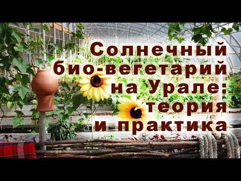 Видео: Солнечный био-вегетарий на Урале: теория и практика