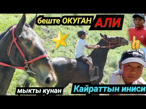 Видео: КАЙРАТТЫН иниси АЛИ Беш жылдыз МЕНЕН ⭐️БЕШТЕ ОКУЙМ💥6 июня 2022 г.