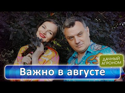 Видео: АВГУСТ ПОКАЖЕТ КАКОЙ ТЫ ОГОРОДНИК