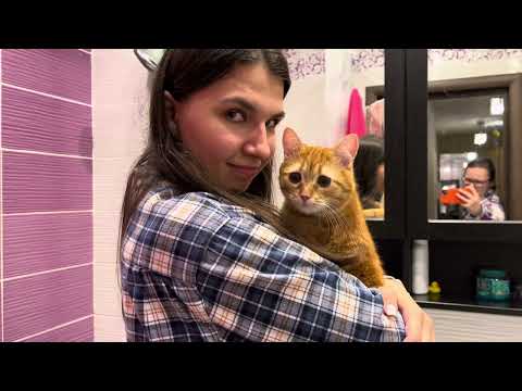 Видео: 5. Собираем вещи на море и отвозим кота июнь 2025