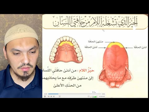 Видео: МАХРАДЖ ЛЯМ اللام | БУКВА ПЕРЕДНЕЙ БОКОВОЙ ЧАСТИ ЯЗЫКА
