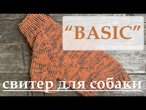 Видео: Свитер "BASIC" для собаки