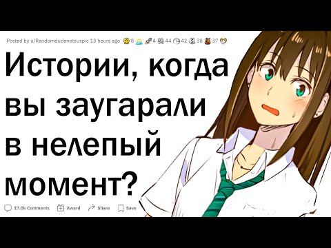 Видео: Когда заржал в неподходящий момент