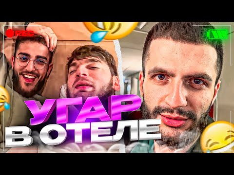 Видео: СТАЯ ЛЮТО УГАРАЕТ В ОТЕЛЕ | ПОСЛЕДНЯЯ НОЧЬ В МОСКВЕ