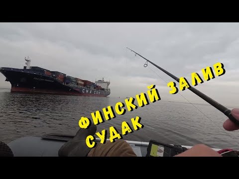 Видео: Финский залив, судак... Разведка нового места.