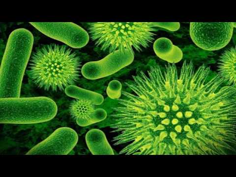 Видео: Биофизика сложных систем (рассказывает биофизик Фазли Атауллаханов)