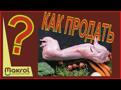 Видео: 💲ХОРОШАЯ ЦЕНА на кролика. Как научиться продавать ДОРОГО. #СоветДняОтМакляка​ #Макляк​ #Макрол