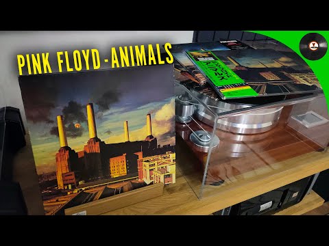 Видео: Pink Floyd - Animals. Сравнительный обзор 6-ти изданий на виниле