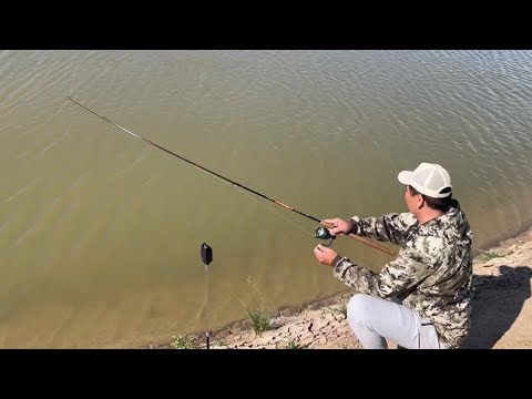 Видео: |РЫБАЛКА НА САБЫНДЫ| ПОКЛЁВКА СУДАКА, КАРАСЯ, ЛЕЩА НА ДОНКУ #fishing #fishingvideo #судак #карась