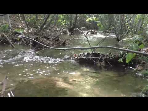 Видео: Горная река, звуки для расслабления, медитации. Tascam X8 field recording.