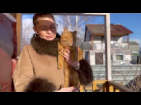 Видео: Обзор курятника