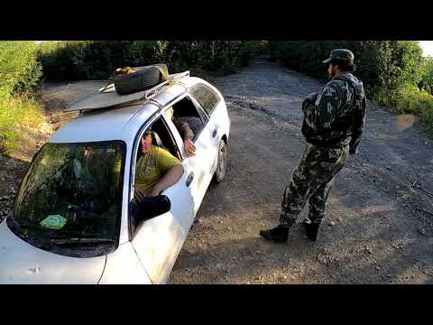 Видео: Ягодники-сеточники)))